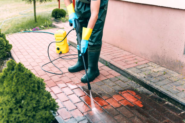 Animal Enclosure Cleaning in Rushville, IN